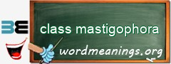 WordMeaning blackboard for class mastigophora